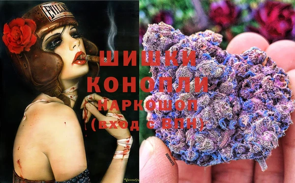 гидропоника Покачи