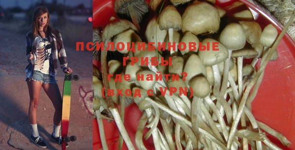 гидропоника Покачи