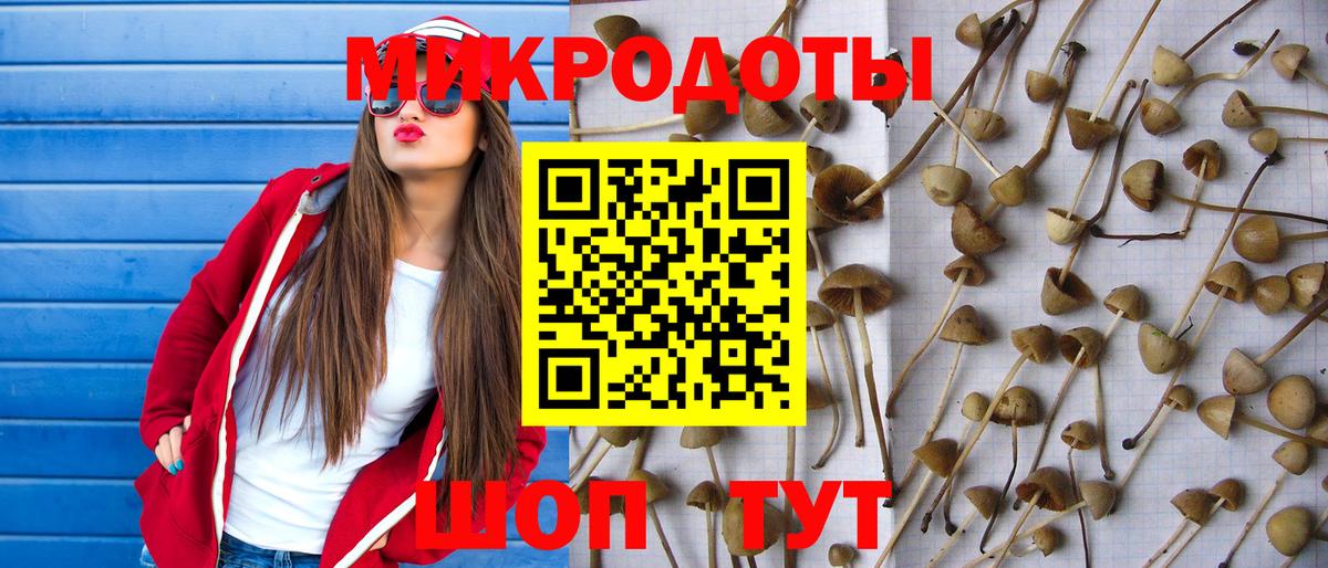 Североморск  Галлюциногенные грибы прущие грибы  Галлюциногенные грибы Cubensis  Вход с VPN 